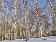 -长春市南湖公园