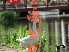 -海淀公园