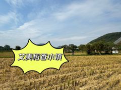 -艾米稻香小镇