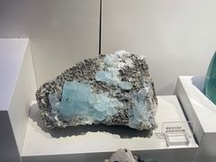 -重庆自然博物馆(新馆)