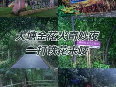 -大塘金香草谷