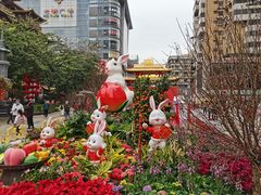 -越秀西湖花市(广州城市广场花卉店)