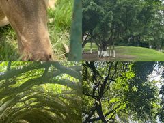 -广西壮族自治区药用植物园