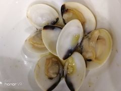 -顺德哥卜卜贝(旗舰店)
