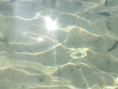 -东姑阿都拉曼海洋公园