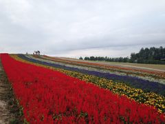 -富田农场