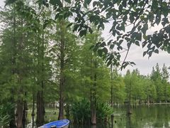 -白鹭湾湿地公园