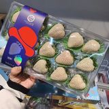 邂逅甜蜜 | 一口坠入草莓味的梦幻
