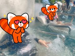 -碧水湾温泉
