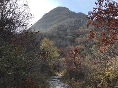 -阳台山自然风景区