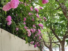 -青岛第三海水浴场