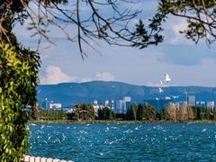 -滇池海埂公园