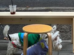 -常识咖啡common sense(春熙路店)