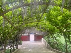 -红螺寺
