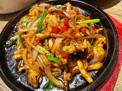 -鸽子窝(青塔店)