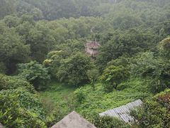 -宁波市保国寺古建筑博物馆