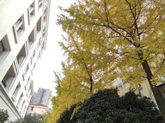 -上海汾阳花园酒店