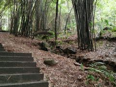 -凤栖山