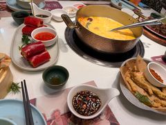 -洪氏嗨捞·猪肚鸡火锅(阳光天地店)