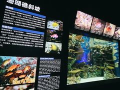 -上海海洋水族馆