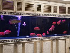 -万宝海鲜舫(劳动公园店)