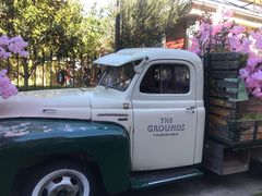 -The Grounds of Alexandria