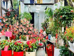 -溪岸路花鸟市场