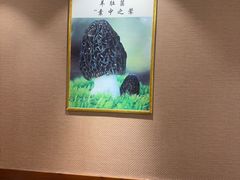 -菌之家·专业纯野生菌火锅·特色炒菌