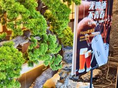 -桃夭日式料理(国信店)