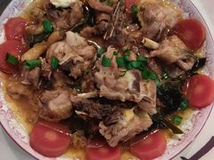 -田螺阿姨自营月嫂·育儿嫂(高新店)
