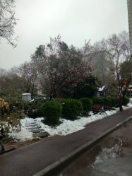 -河南中医药大学第一附属医院-医疗整形