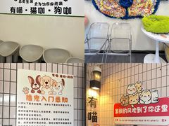 -有喵·猫咖·狗咖·30几只猫10只小狗(岗厦店)