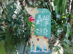 -海南热带野生动植物园