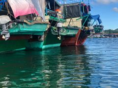 -蓝湾碧波·老字号·疍家非遗海上餐厅