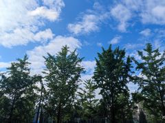 -东北大学(南湖校区)
