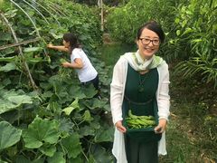 世外桃源顾客采摘蔬菜收获。-武汉世外桃源农庄