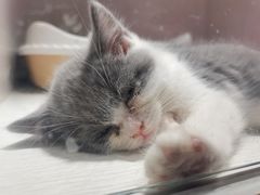 -乐宠宠物店(世纪金源店)