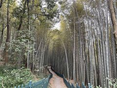 -杭州植物园