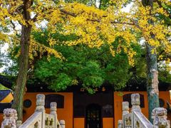 -西园戒幢律寺