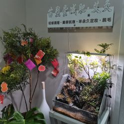 -苗塑堂减肥·艾灸