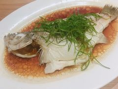 -五谷芳乳鸽王（大梅沙总店C区）(网红打卡店)
