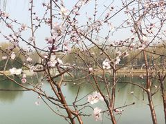 -河北省园博园