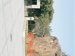 -上海市龙华烈士陵园