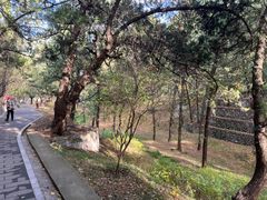 -香山公园