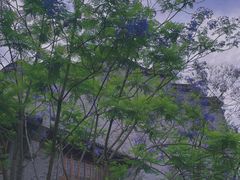 -龙潭水乡