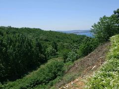 -花甲大咖(曼哈顿店)