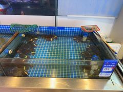 -今鲜源酒店·海鲜锅贴青岛菜(新湛路店)