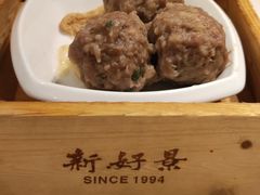 爽滑牛肉丸-新好景海鲜酒家(新塘店)