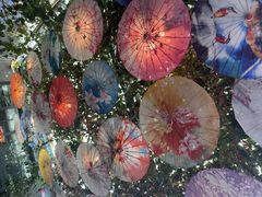 -海韵人家.海景花园经典云南菜(双廊店)