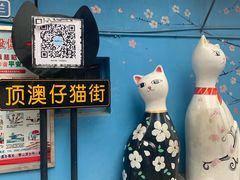 -猫咪博物馆(顶澳仔猫街店)